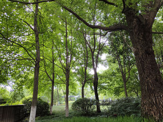 钱塘江,吴越文化的发源地之一——杭州2日(9)