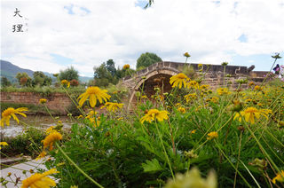 再遇大理，这里是我的理想之地