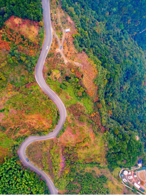 宁波赏秋线路,四明山秋日自驾攻略!畅游宁波最美盘山公路