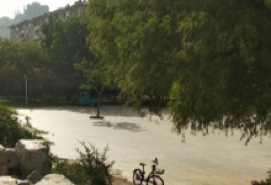 汉槐公园景点图片