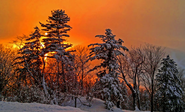 去吉林看雾凇，远离城市的喧嚣