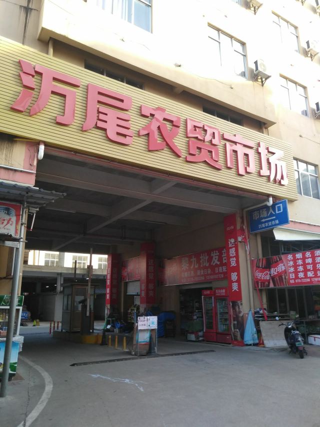 万尾金滩旅行图片 1