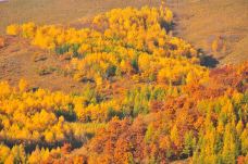 三道沟林场村-多伦