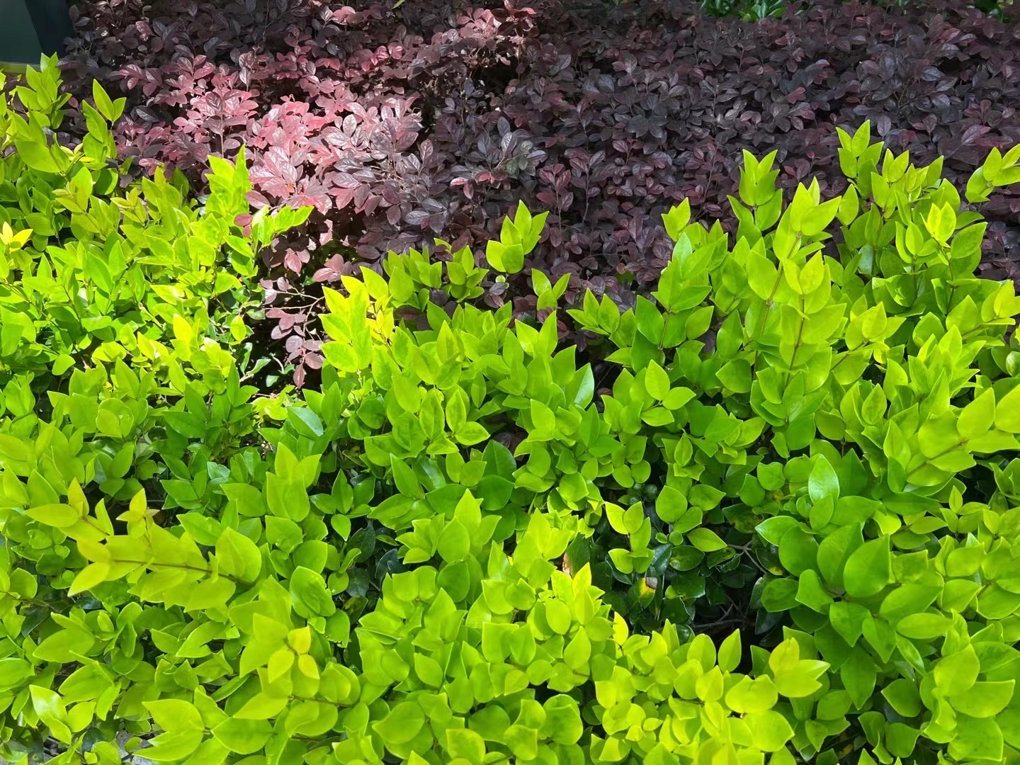 飘然餐厅(八二五总店)餐厅图片