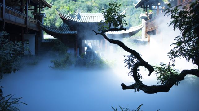 六郎城·仙草秘境