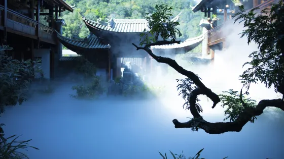 六郎城·仙草祕境