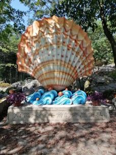 海石公园-重庆-403216532