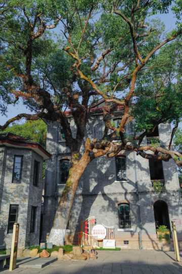 温州必玩2日游攻略|从瓯江风光到古街烟火