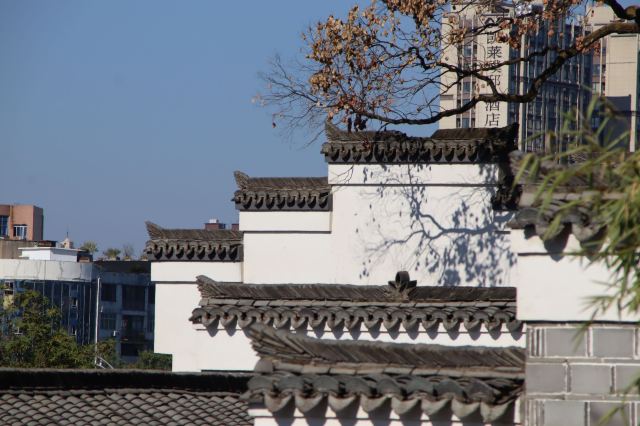 信江书院旅行图片 2