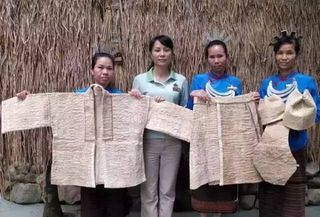 黎族树皮衣—见血封喉真的存在！