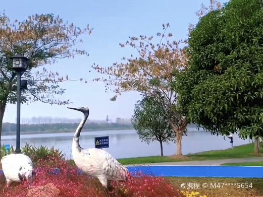 龙渊湖公园