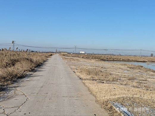 马营湿地