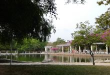 明江公园景点图片