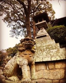 仓敷美观地区-仓敷市-Tom Hung