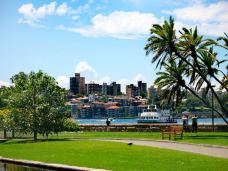 悉尼皇家植物园-悉尼-杨昊鑫