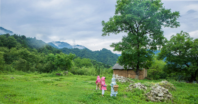 夏日炎炎 有你真甜丨爸爸去哪儿玩之秦岭探秘精彩回顾