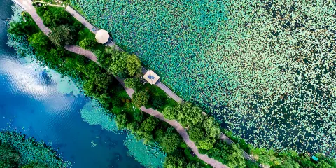 金龍水寨生態樂園