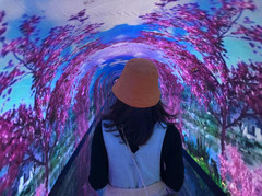 常德游记图片] 《常德桃花源两天一晚最强攻略》