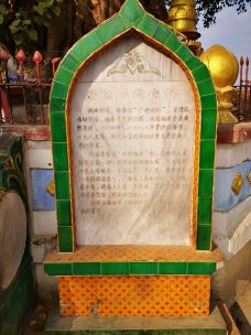 树包塔-芒市-甯大虾