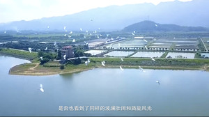 三水区游记图文-三水游记① 岭南水韵游：探访湾区源头、感受水韵文化