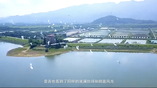 三水游记① 岭南水韵游：探访湾区源头、感受水韵文化