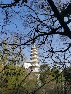 白塔胜迹-昆山-哦买噶