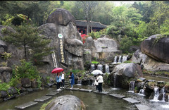 浏阳游记图片] 绿野仙踪大围山，万物葱茏等你来——大围山云海游记