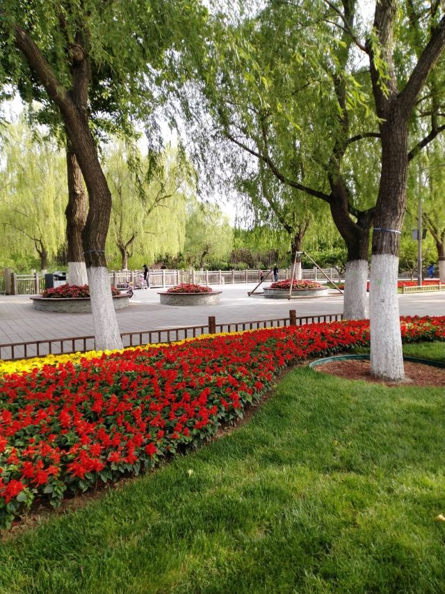 岭南公园旅行图片 1