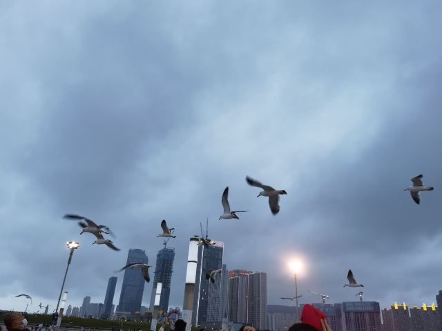 东港音乐喷泉广场旅行图片 1
