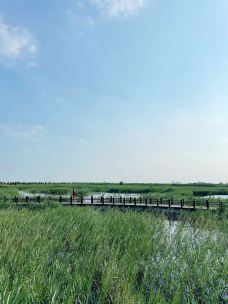 南大港湿地-黄骅--_-Joan-_-