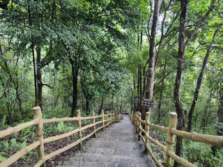 小七孔,地球腰带上的绿宝石(6)——贵州8日(6)