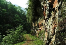 乌龙国家级森林公园景点图片