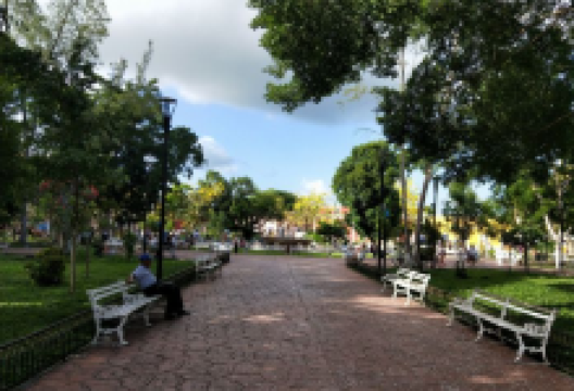 Parque de la Candelaria景点图片