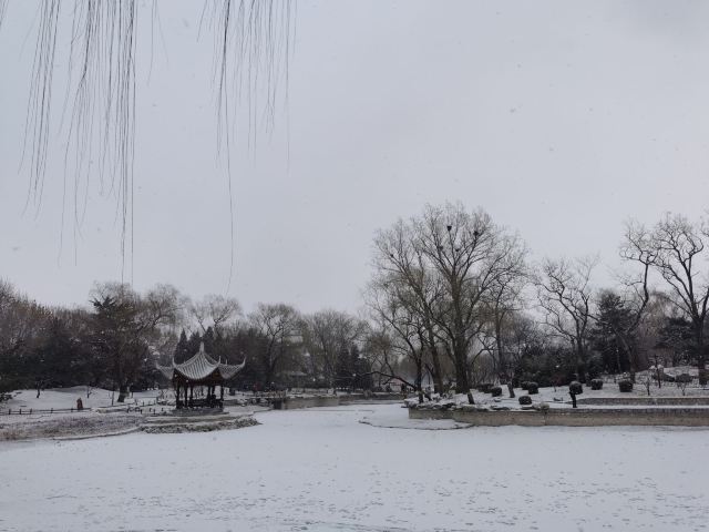 万寿公园旅行图片 3