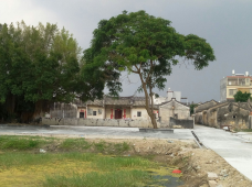 苏氏祖祠-揭阳-C-IMAGE