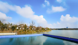 那年梅花开,相约共白首—— 南湖白鹭园酒店