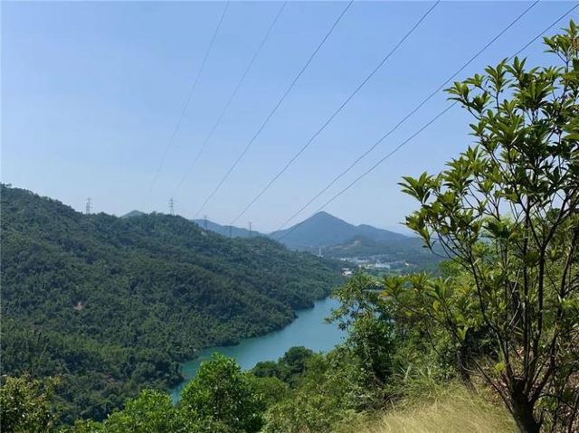 金钟水库旅行图片 1