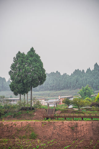 大英！开启周末“轻度假”模式，是我向往的生活