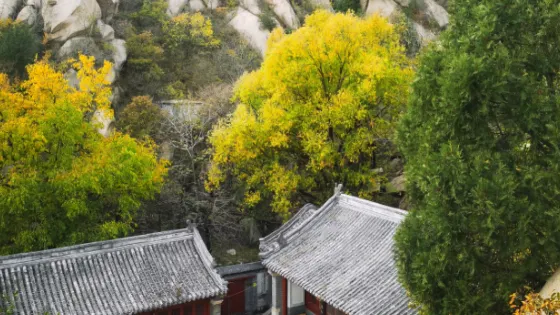 桃源觀