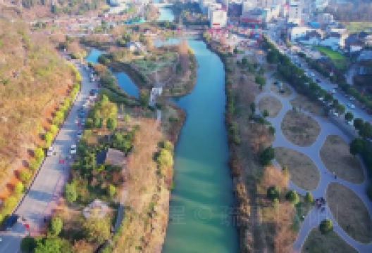 鲤鱼村景点图片
