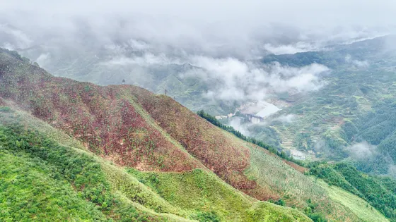 古田山自然保護區