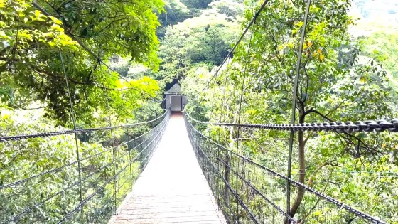 北羅霄國家森林公園