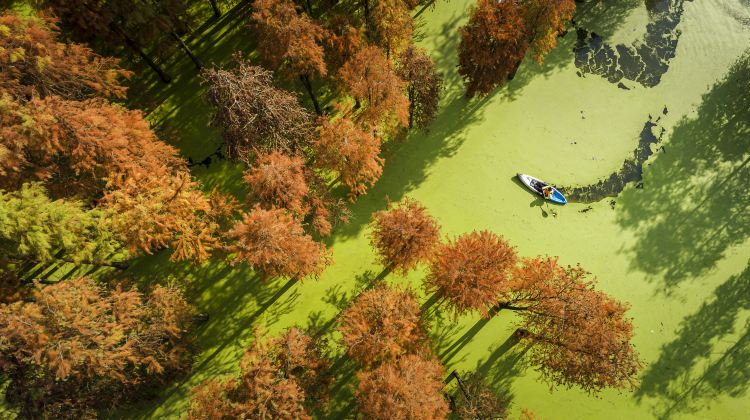 6-Day Qingshan Lake + Mount Huangshan Scenic Area + Hongcun Village + Qiandao Lake + West Lake + Huizhou Ancient City