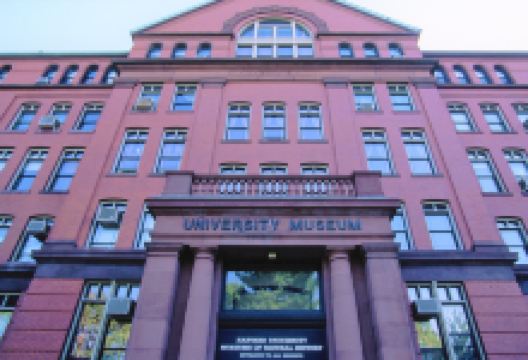 哈佛自然历史博物馆景点图片