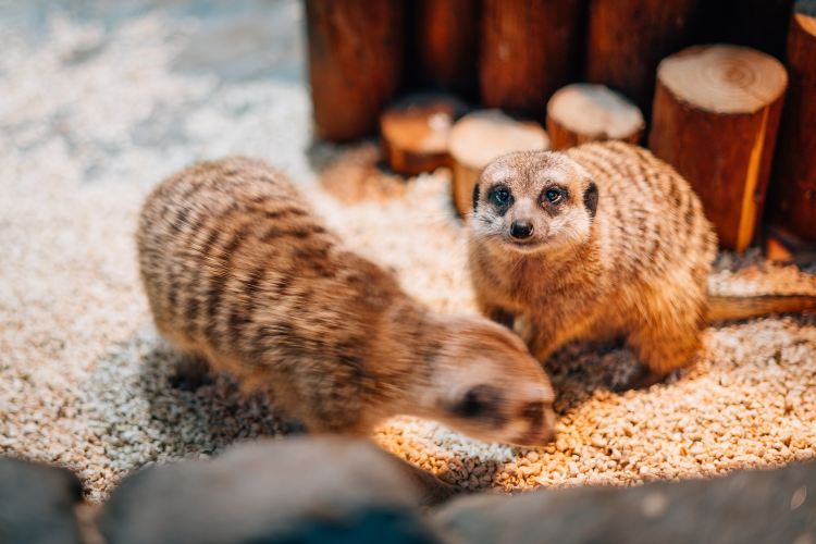 Gallery 3