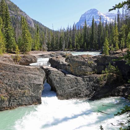 加拿大温哥华+基洛纳+坎卢普斯+班夫国家公园+幽鹤国家公园+贾斯珀国家公园10日9晚拼小团