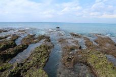 砂岛-屏东-vivienvivien