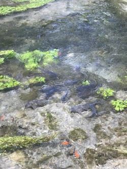 水磨沟风景区旅行图片 4