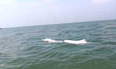 钦州游记图片] 钦州旅游吃喝玩乐全攻略：这些景点你都去过吗？