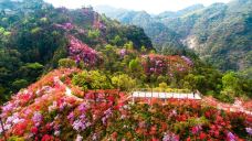 天峡-岳西-星火2020